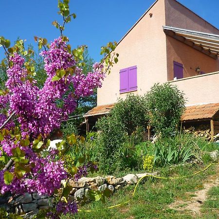 Le Gite De Cristal Proche Bugarach Granes Zewnętrze zdjęcie