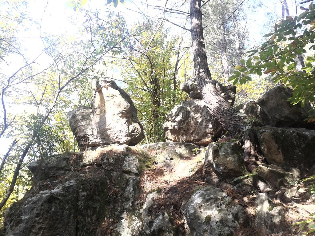 Le Gite De Cristal Proche Bugarach Granes Zewnętrze zdjęcie