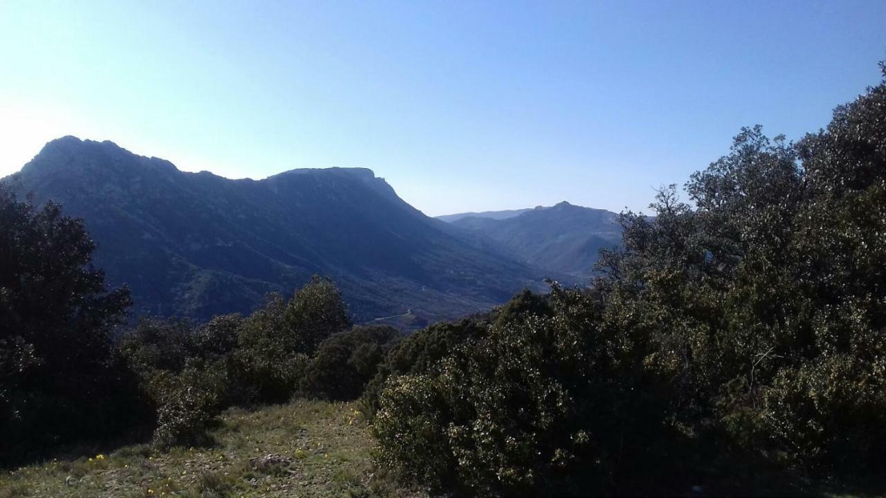 Le Gite De Cristal Proche Bugarach Granes Zewnętrze zdjęcie