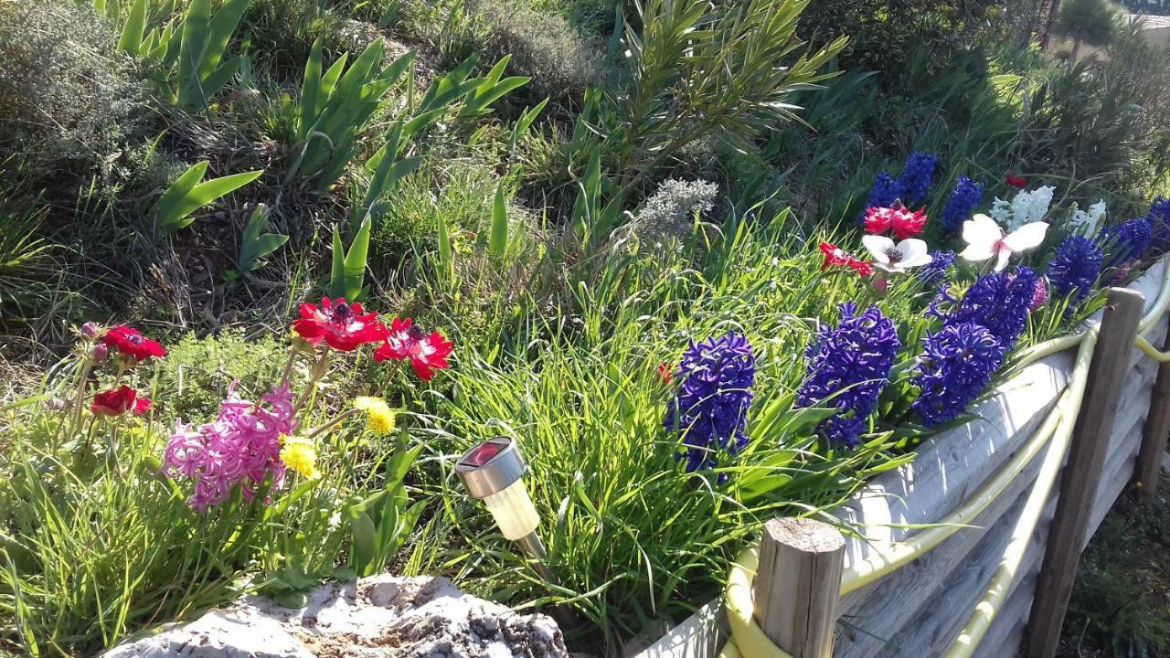 Le Gite De Cristal Proche Bugarach Granes Zewnętrze zdjęcie